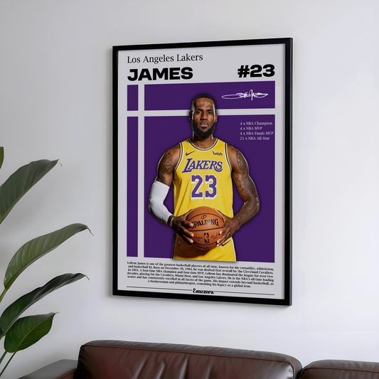 Lebron James Los Angeles Lakers