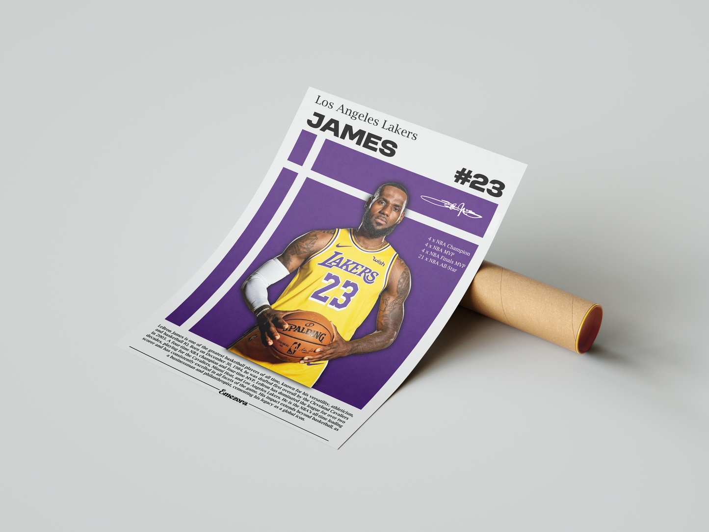 Lebron James Los Angeles Lakers